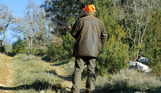 Chasse (dates des battues)