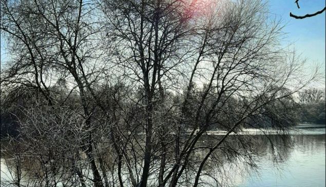 Le Parc Rhénan en hiver - 1er trimestre 2026