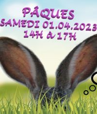Pâques : Jardin APK