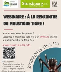 Webinaire gratuit : à la rencontre du moustique tigre !
