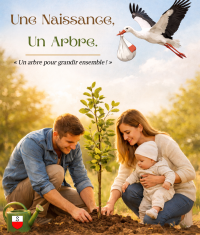 Un arbre, une naissance à Kilstett