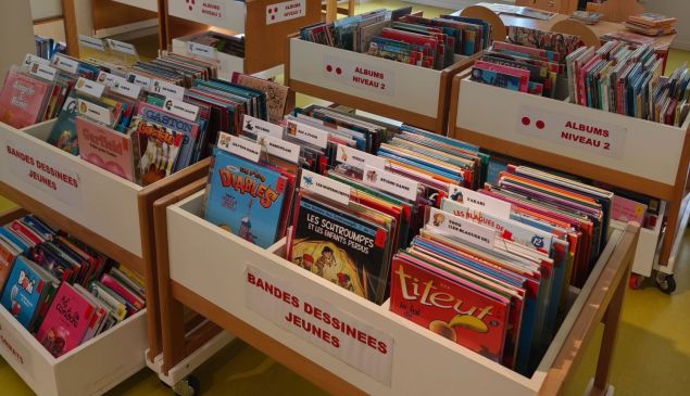 Catalogue de la Bibliothèque en ligne